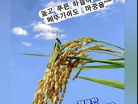 가을마중~ 10월마중~ 26..