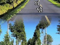 5월 가정의 달 26.05.0..
