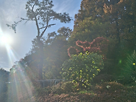 센터 구경오세요!!