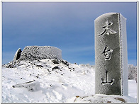 [태백산] 천제단, 주목군락..