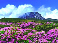 ★한라산 백록담 & 올레트..