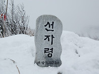 [선자령] 대관령 설경, ..