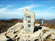 [오대산] 월정사 단풍, ..