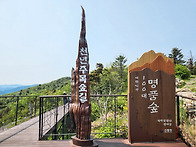 [발왕산] 천년주목숲길 (..