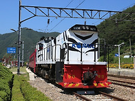 [협곡열차] 백두대간 협곡..