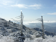 ★덕유산종주 (1,614m ..