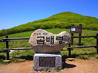 [곰배령] 곰배령 단풍, ..