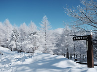 [운탄고도] 한국의 차마고..