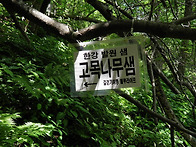 [대덕산] 금대봉, 분주령,..