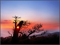 ★[태백산] 동해의 최고의..