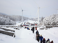 [고루포기산] 능경봉, 대..