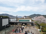 2026. 4. 5. 부활대축일 ..