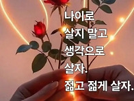 [오늘의 운세] 2026년 8..