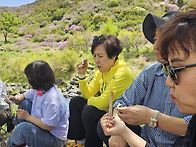 황매산 철쭉꽃~