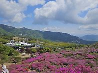 5월7일 황매산