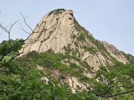 동행길