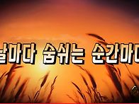 찬송가 묵상 #401 날마다 ..