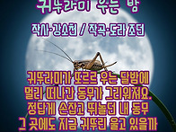 [우리나라 동요를 찾아서 ..
