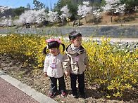 🌸핑크반-벚꽃