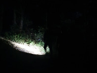 10월 8일 팔용산 야간산행