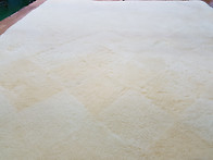 스타밸리 양털카페트세탁및..