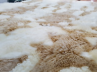 스타밸리 알파카수선세탁,..