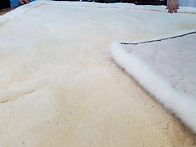 스타밸리 알파카,양털카페..