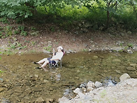 더운 여름 시원한 계곡에서..