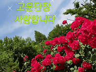 시작