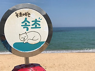 [속초, 설악산 스카이워크..