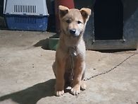 오늘
