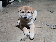 입식 3일차