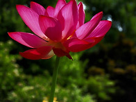 7월2일 화요일 출석부