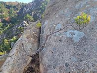 화왕산 산행
