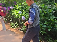 해남수국공원