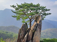 2026년 4월 정기산행(173회)-- 제천 작은..