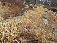 3.1절 북한산 사..
