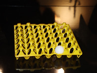 2025년 12월 20일 송년회..