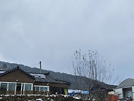 새해 인사가 늦었..