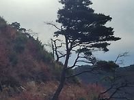 2022년 12월 마지막 정기..