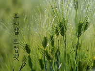CD 오디오 추가