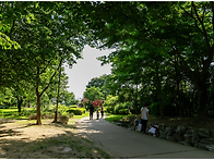 과제/숲속