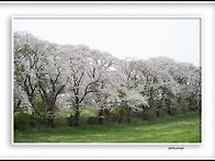 서산목장~