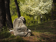 我,