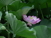 색상작업