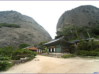 🔊 정기산행 공지~