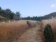 경남 산청 수선사, 둔철산..