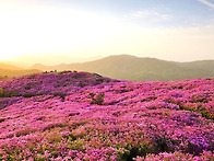 제433회 바위정기산행 안..
