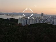 11월29일입주
