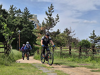 ※ 2026년3월15일(일요일..